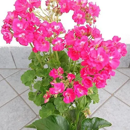 Sky-terrace In Station, 3 Bedrooms Appartement