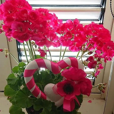 Sky-terrace In Station, 3 Bedrooms Appartement *