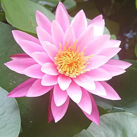 Sky-terrace In Station, 3 Bedrooms Napels