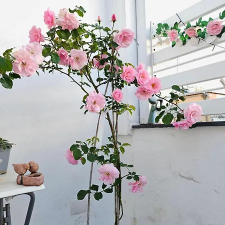 Sky-terrace In Station, 3 Bedrooms Napels