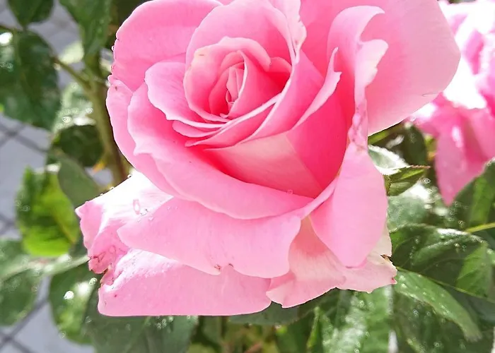 Sky-terrace In Station, 3 Bedrooms * Νάπολη