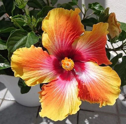 Sky-terrace In Station, 3 Bedrooms Νάπολη